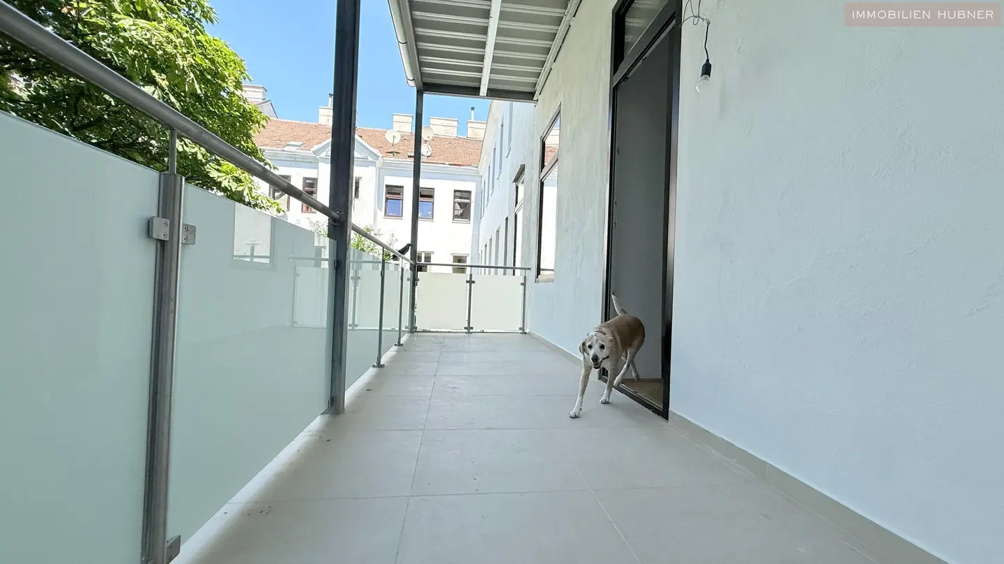 Altbauwohnung nahe Augarten mit ruhigem Balkon zum Innenhof