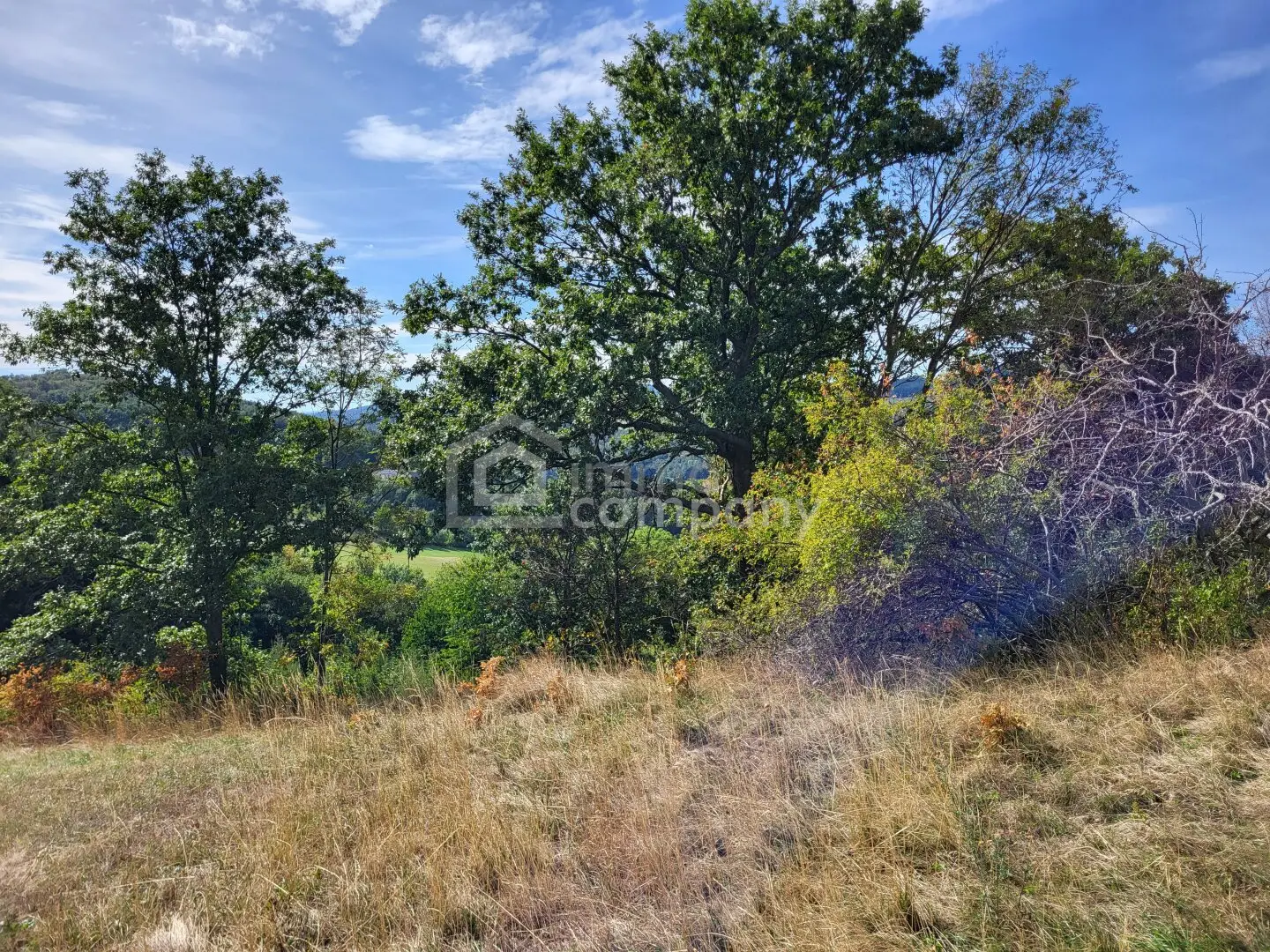 6 ha zusammenhängende Land- und Forstwirtschaft mit weitläufiger Wiesenfläche und Waldanteil