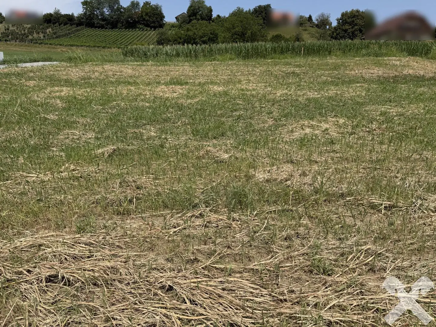 Quiet building plot with fiber connection Apartment