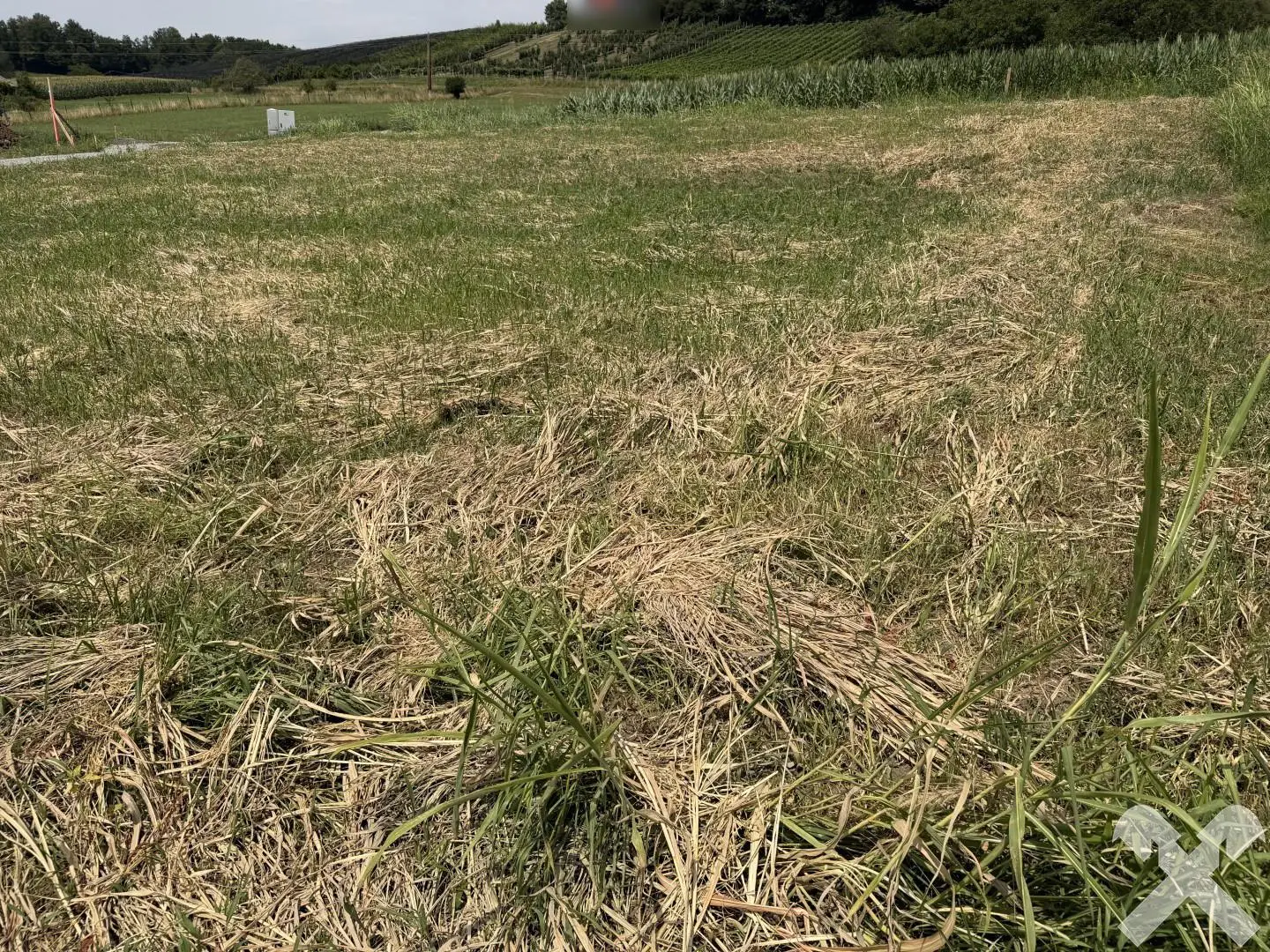 Quiet building plot with fiber connection Apartment