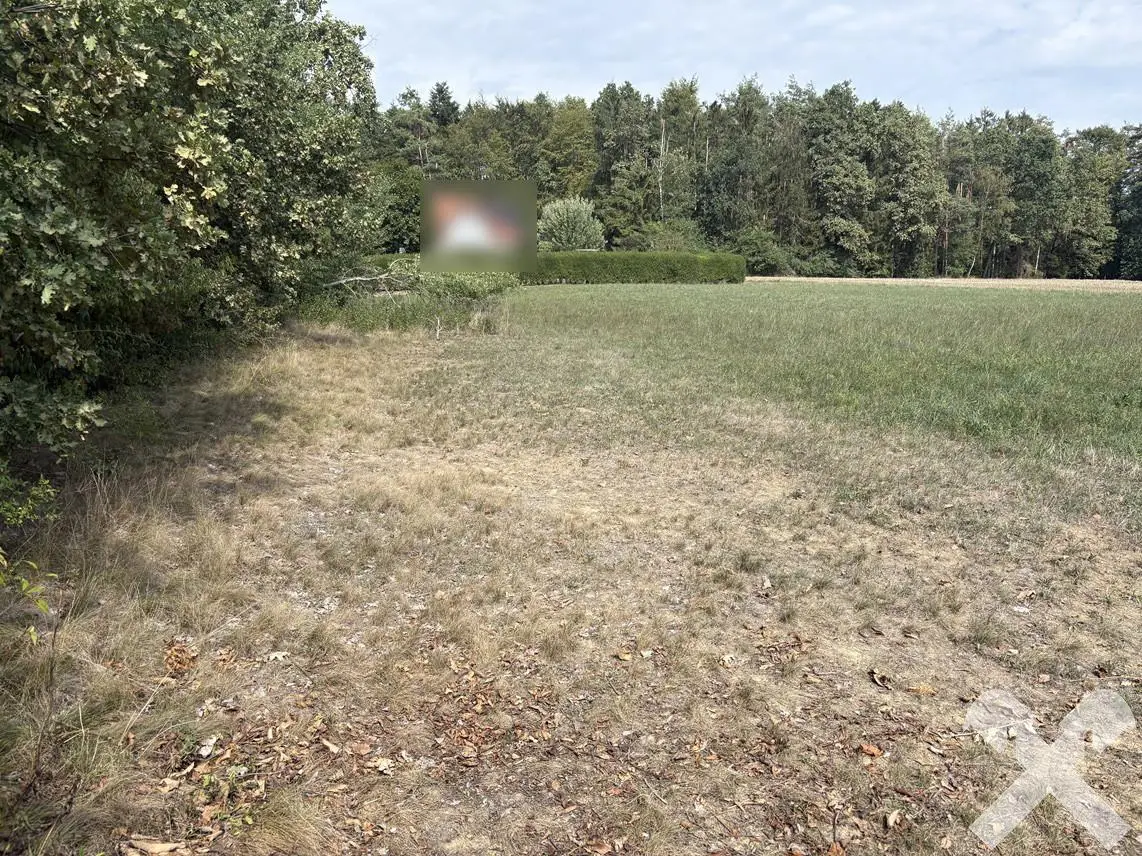 Sunny location near school Apartment
