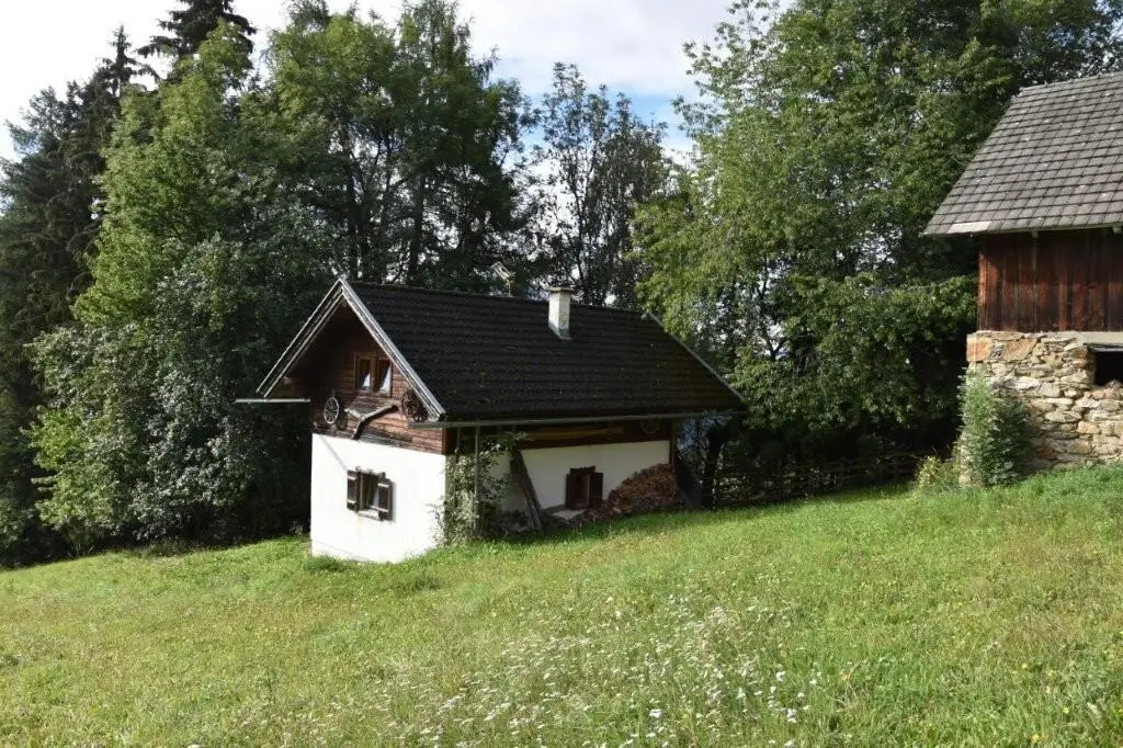 Rustic holiday apartment with large arronded farmland