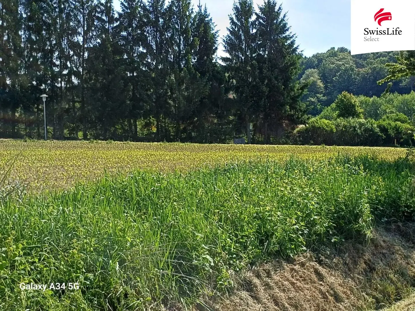 Dreamlike plots for residential and commercial development in 8380 Henndorf, Burgenland