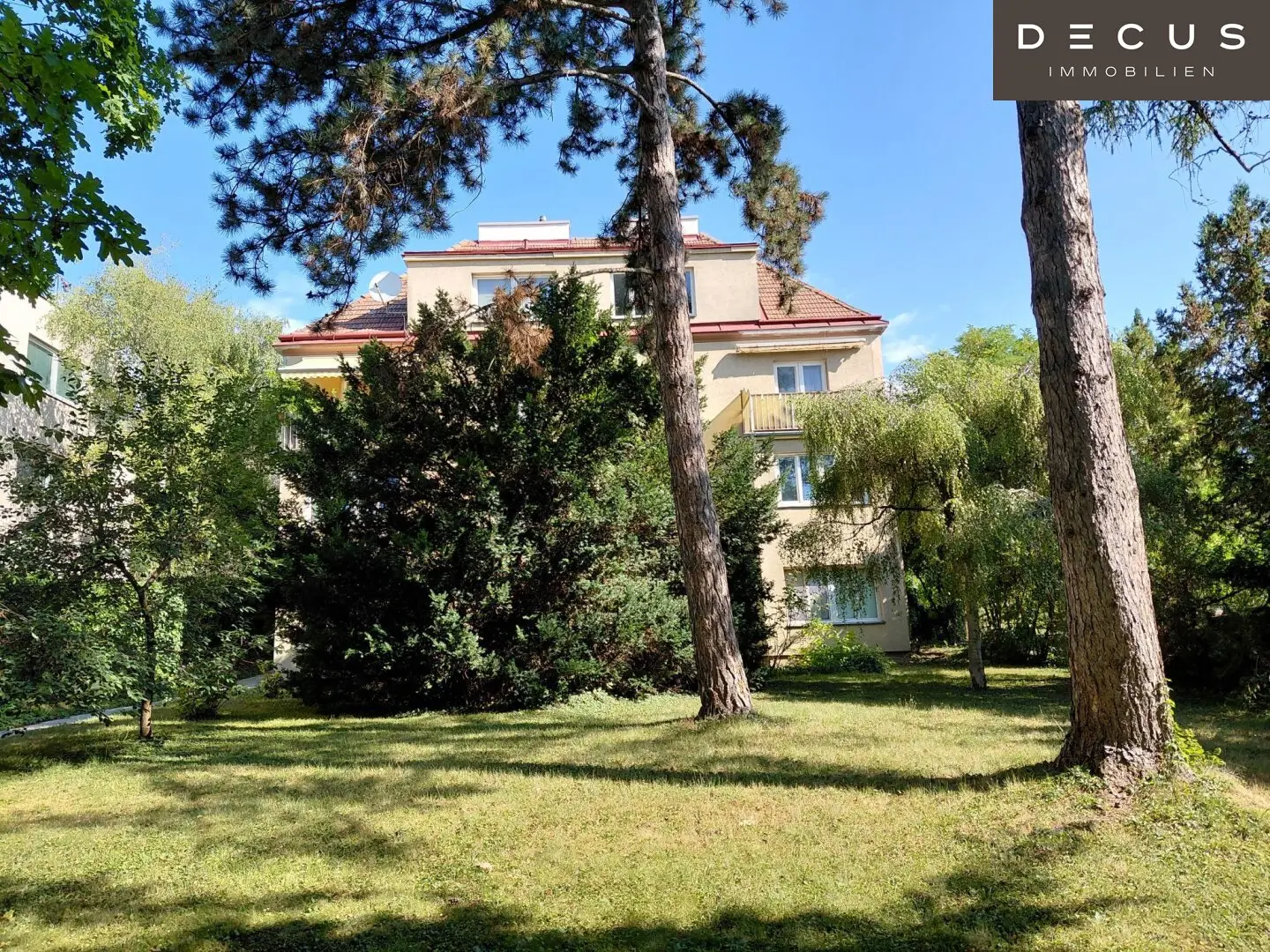 NUSSDORF| GEMÜTLICHE KLEINE WOHNUNG 40,82m²| GARTENBENÜTZUNG |BEZUG 15.10.2026