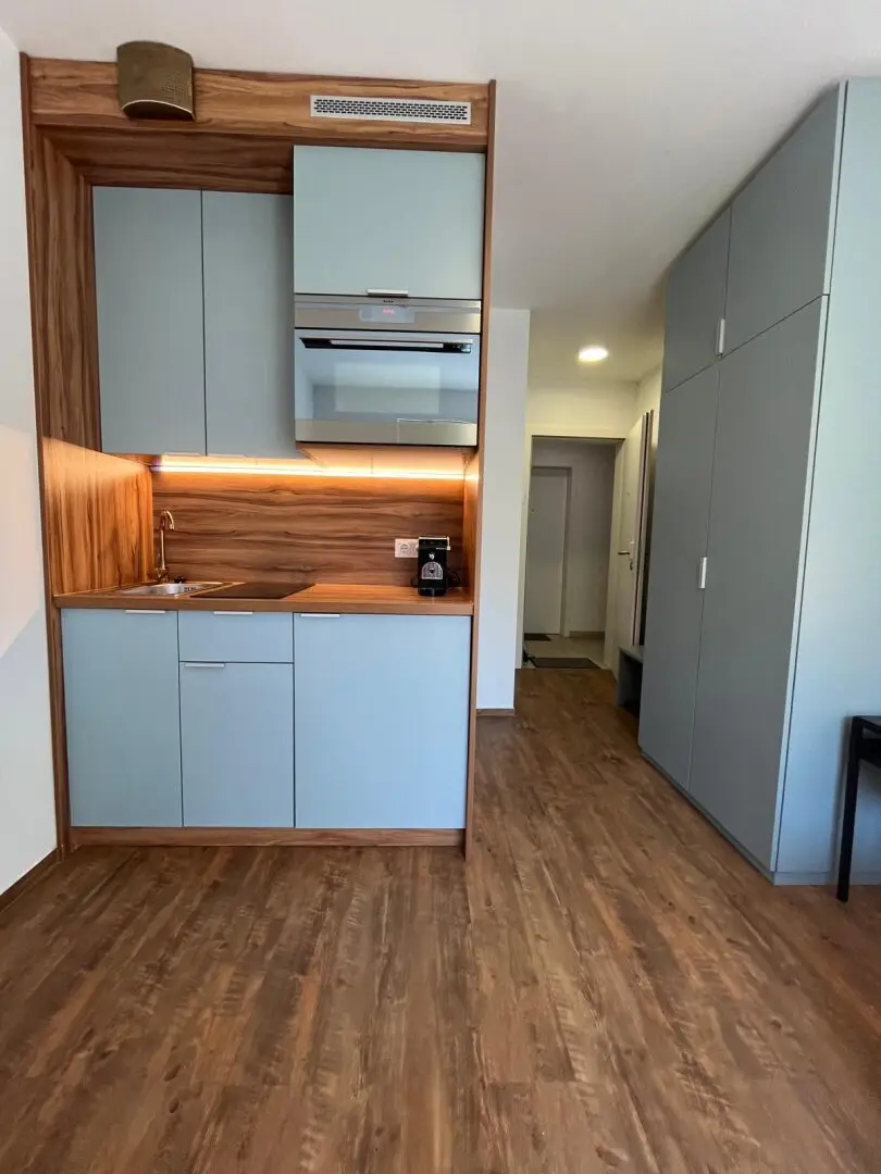 Stylisches All-Inclusive-Apartment im Zentrum von Brunn am Gebirge - ideal für Singles &amp; Studenten!
