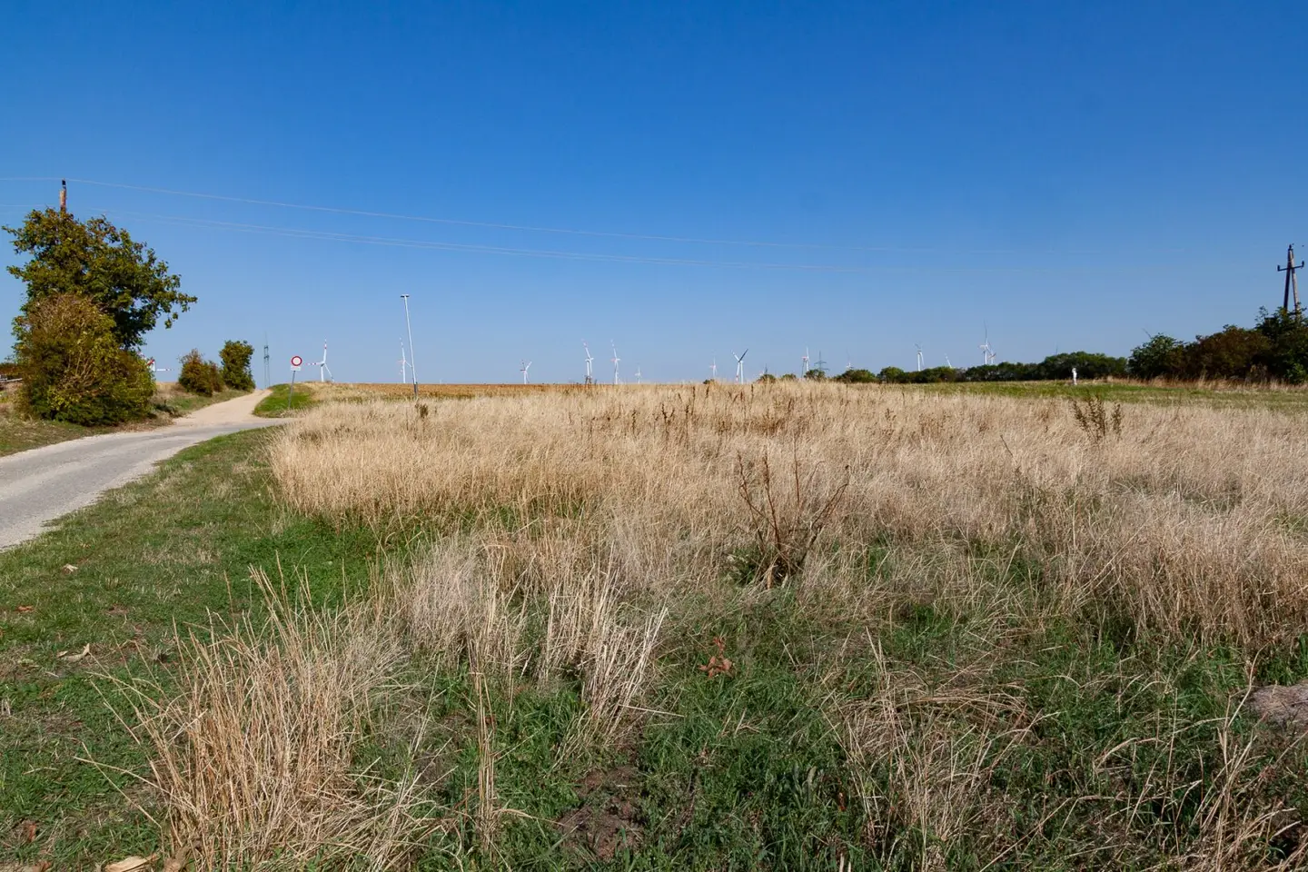 807 m² großes Baugrundstück in ruhiger Wohnlage von Neusiedl am See