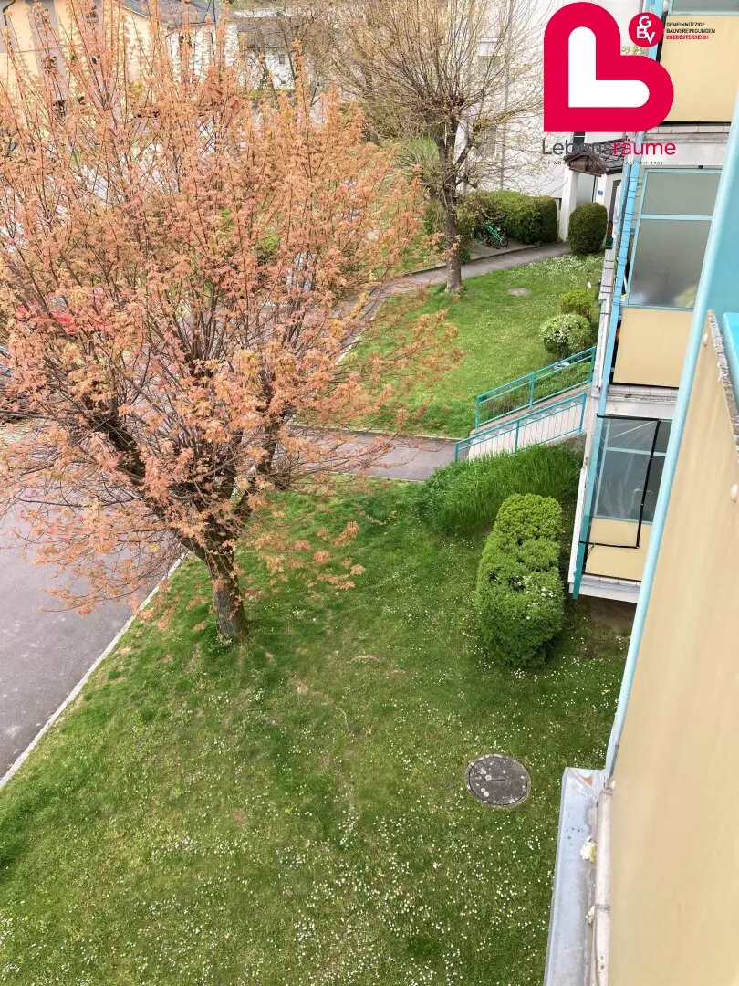 Schöne Wohnung in Mittertreffling
