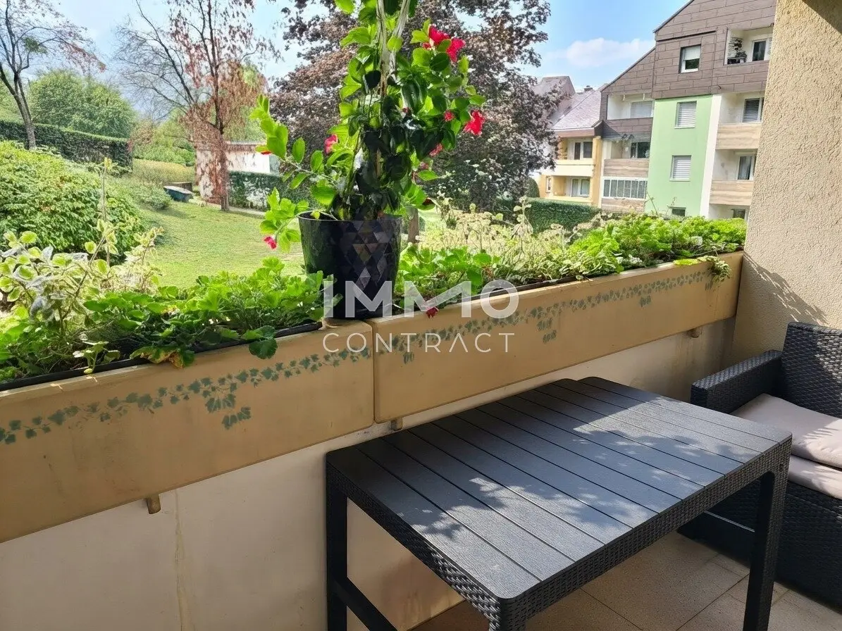 Ein Zuhause für ihre Familie - 4 Zimmer - Erdgeschoß - Wohnung zu Kaufen in Scheibbs