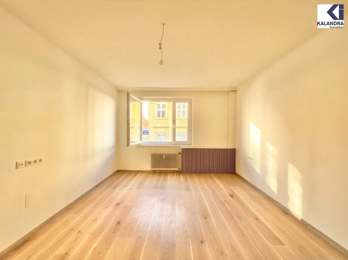 360° TOUR // CITY APARTMENT NEAR THE OPERA //  CITY APARTMENT NEAR OPERA