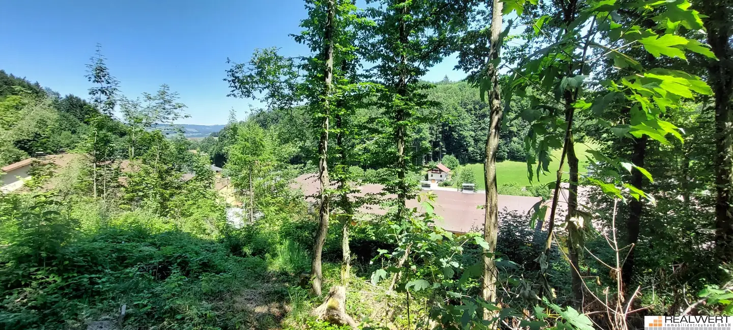 Nature Lover - Plot with Expansion Potential / Hof near Salzburg
