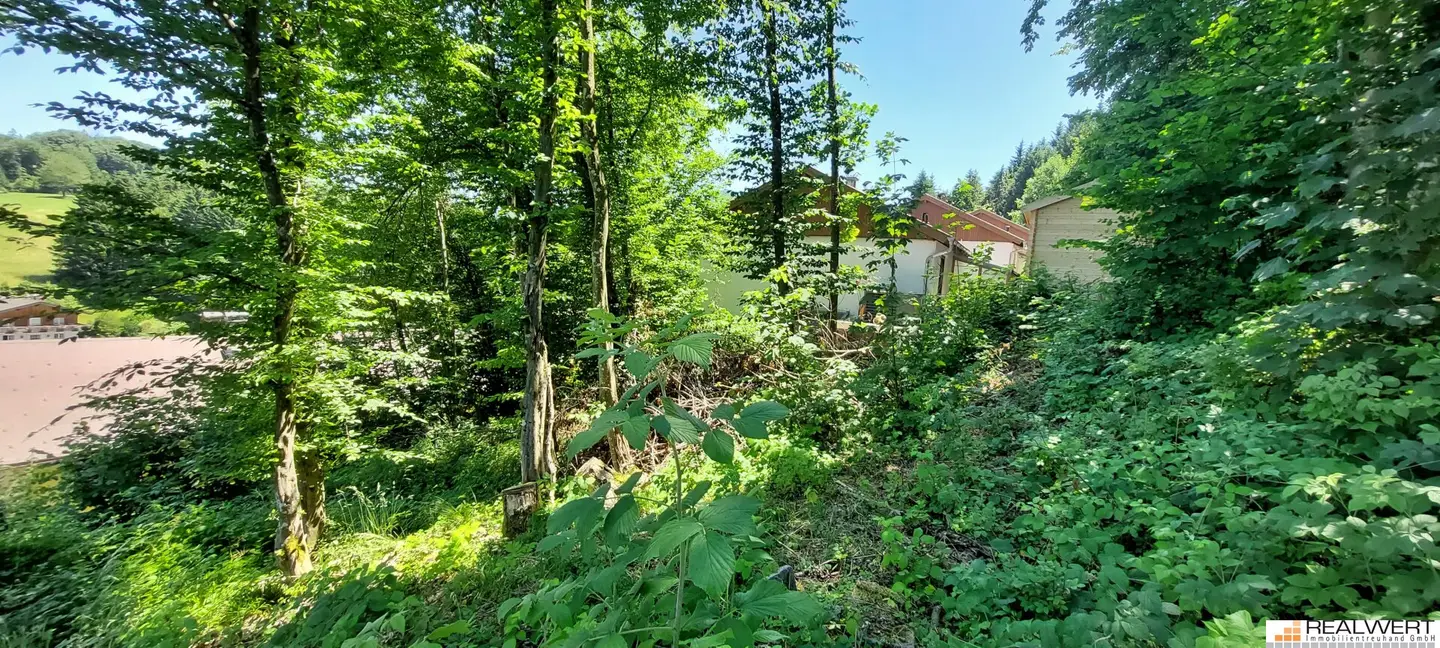 Nature Lover - Plot with Expansion Potential / Hof near Salzburg