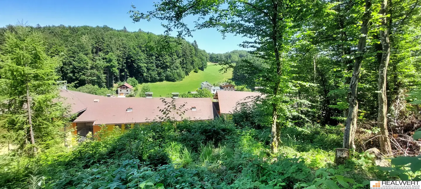Nature Lover - Plot with Expansion Potential / Hof near Salzburg
