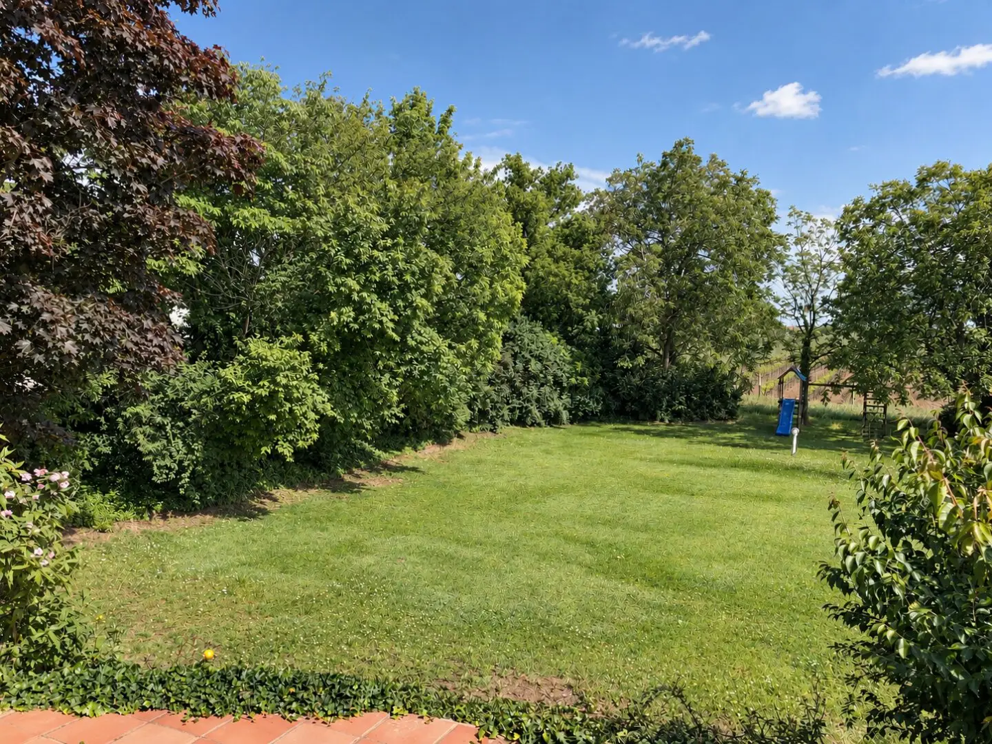 Rare opportunity in Gols: Spacious estate on 1,565 m² plot with subdivision possibility