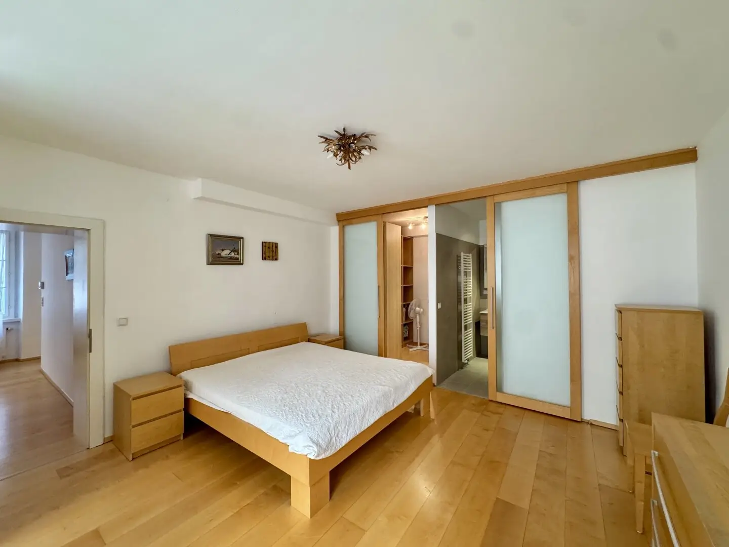 Stephansplatz - fully furnished historic apartment in a quiet location