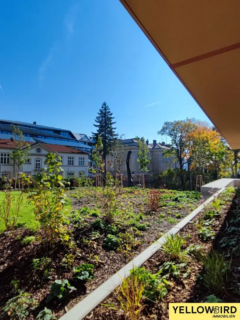 New build apartment I sought-after quiet location I Breitensee I balcony with magnificent park view