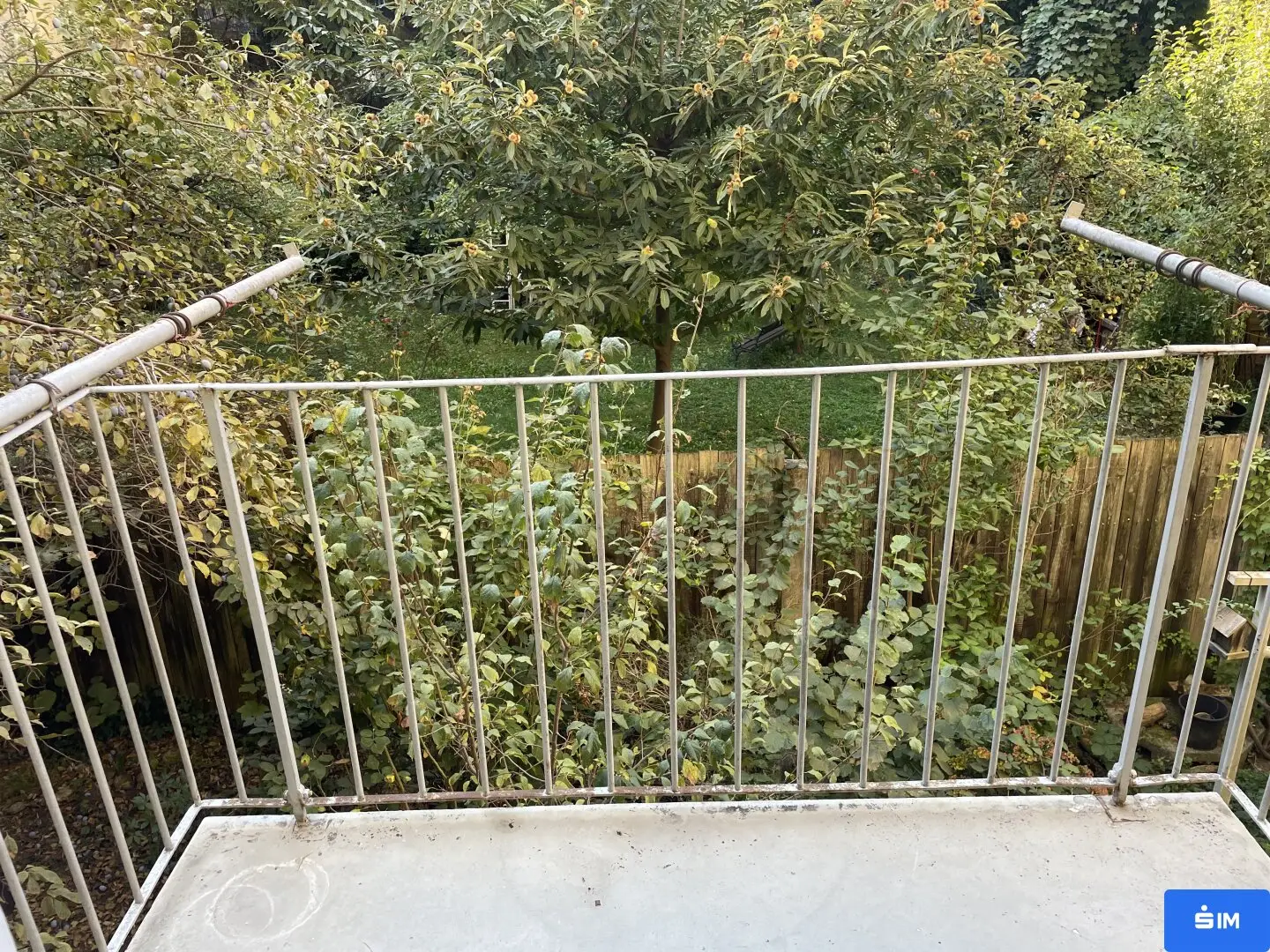 2-Zimmer-Altbauwohnung mit Balkon