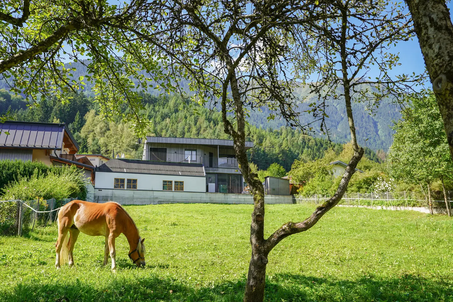 Quiet plot with duplex building option Apartment