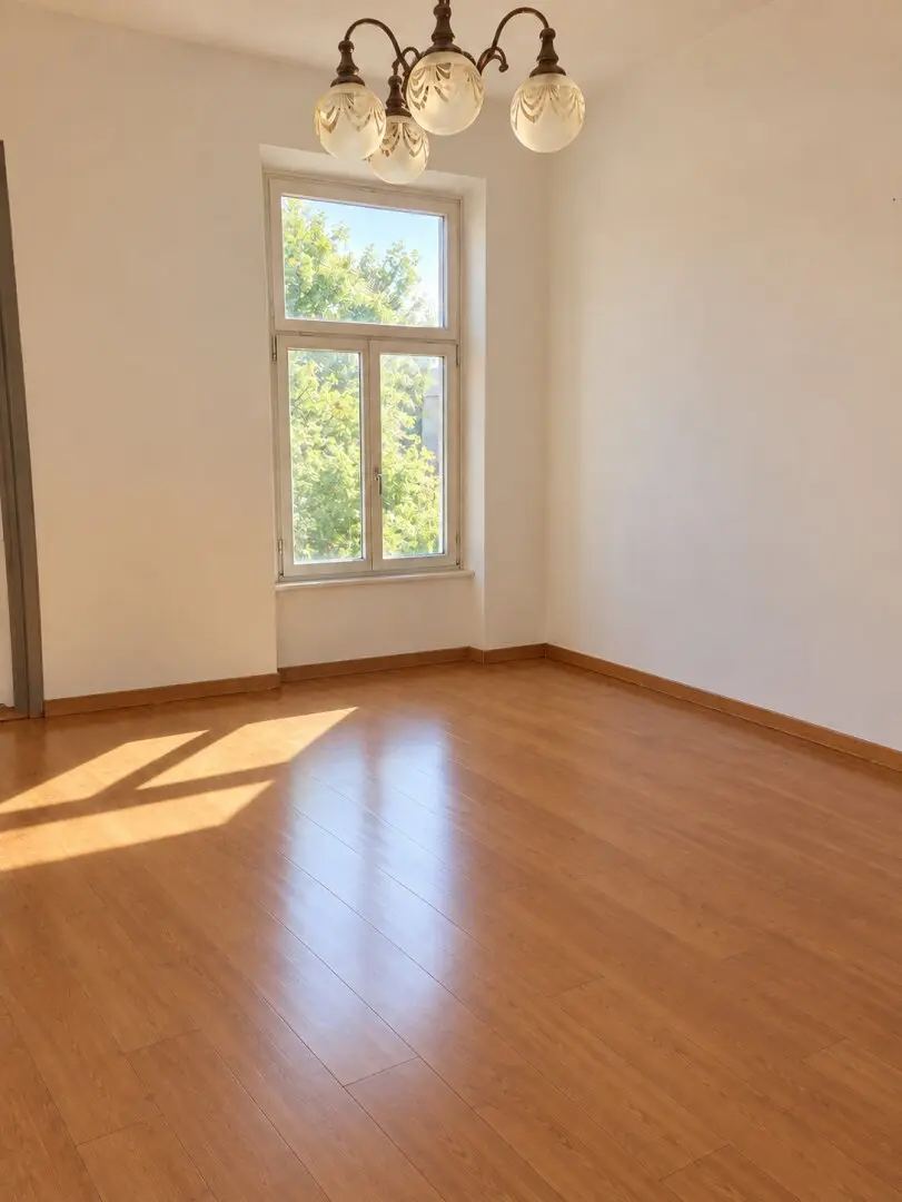 Altbauwohnung mit Kabinett und separater Küche in der Leopoldstadt