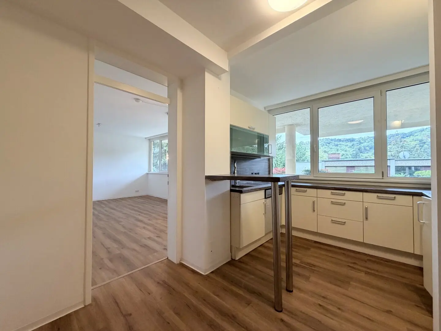 Spacious 4-room apartment, affordable, quiet and close to Vienna