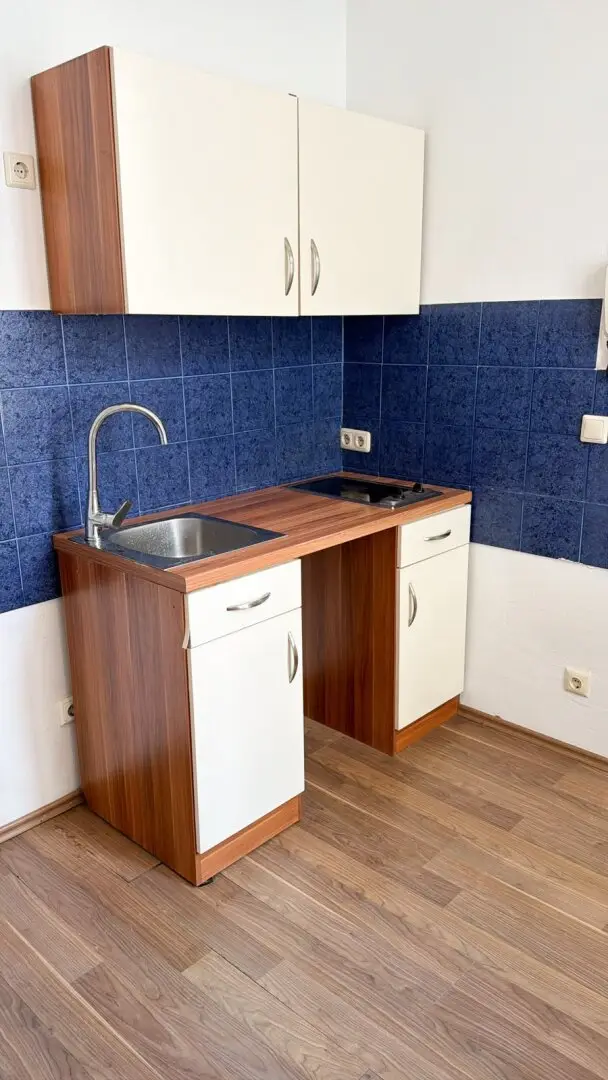 HARDTMUTHGASSE -  1 ZIMMER-WOHNUNG - TOP 32