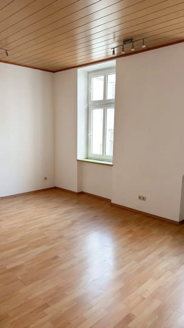 HARDTMUTHGASSE -  1 ZIMMER-WOHNUNG - TOP 32