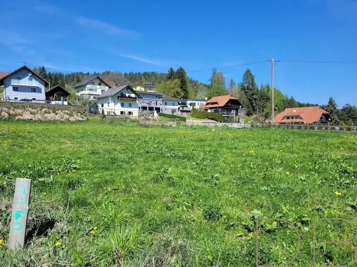 Sunny plot in St. Nikolai