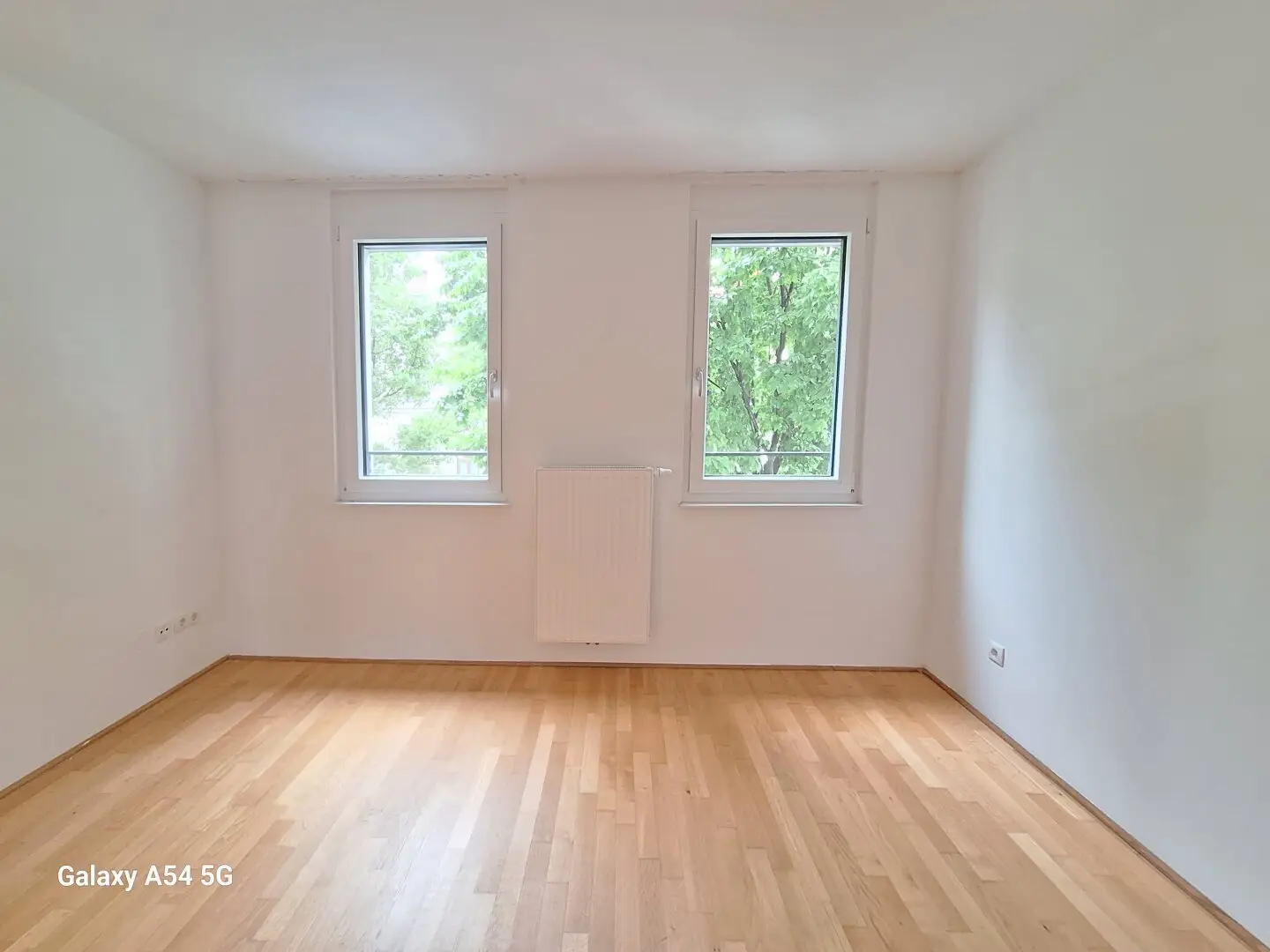 Immobilienbild 3