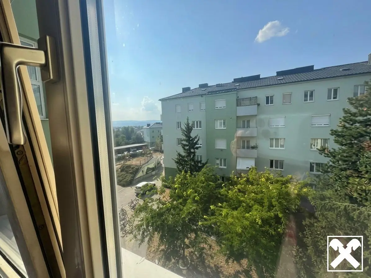 Bright apartment with elevator and separate kitchen