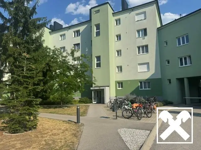 Bright apartment with elevator and separate kitchen