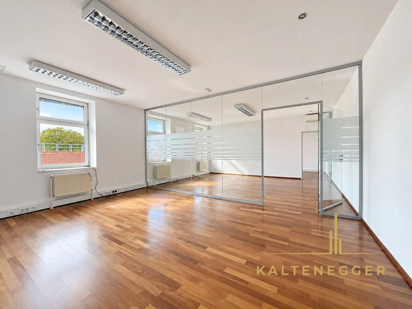 Repräsentative Bürofläche mit ca. 213 m² in Nußdorf – Klimaanlage, flexible Raumstruktur und Glasbüros
