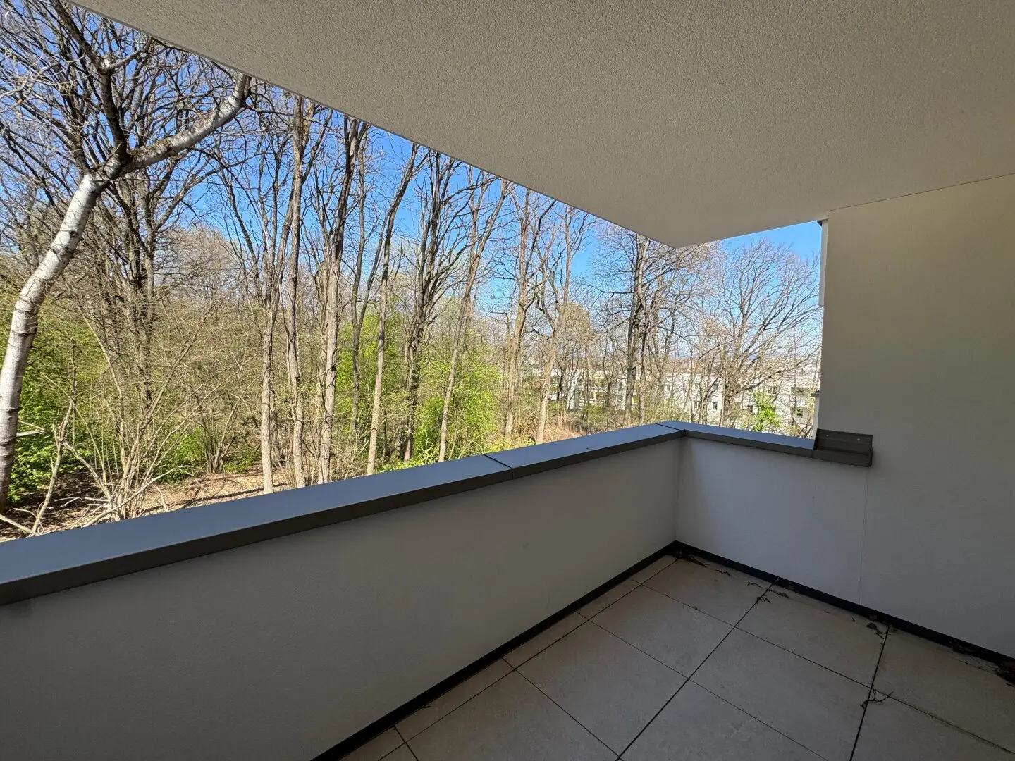 4-room new-build apartment on the 1st floor with elevator and loggia in Billrothgasse