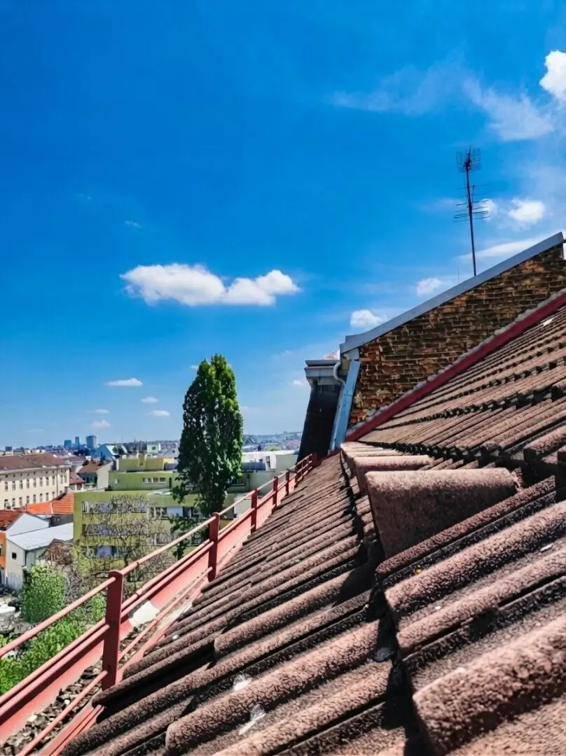 Near Mariahilferstrasse I Shell Attic and beautiful period building with 8 apartments in prime location -- Also perfect for owner occupiers