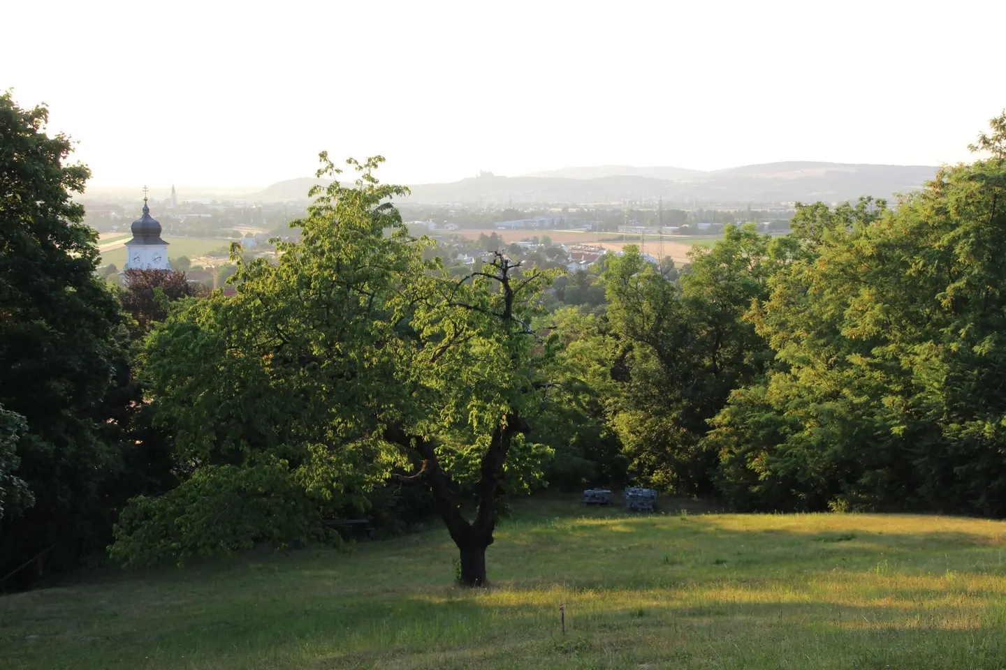 TRAUMHAFTER FERNBLICK, RARITÄT, GRÜNRUHELAGE, EXKLUSIVER BAUGRUND IN BISAMBERG