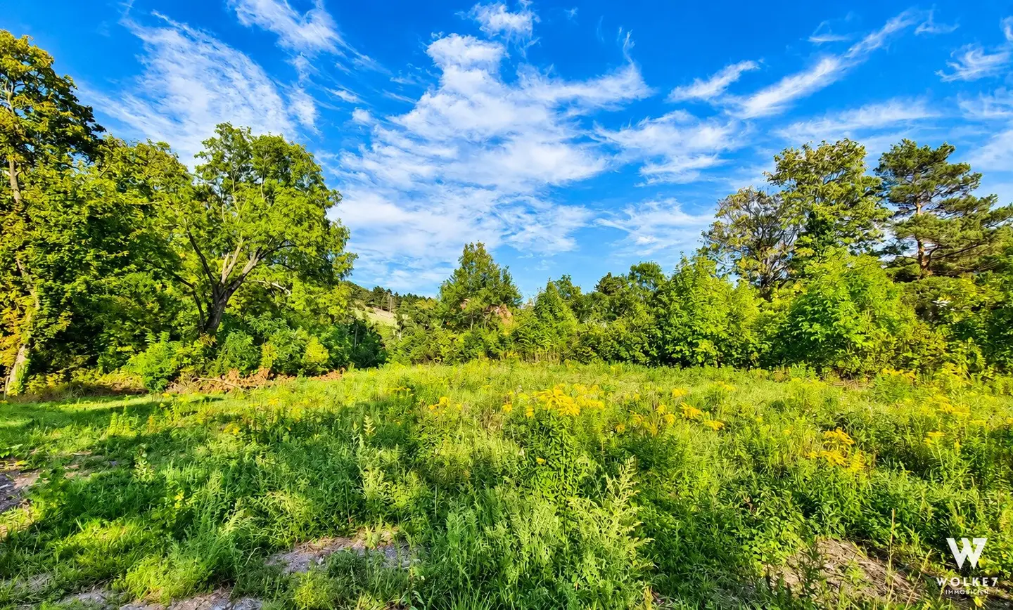 Baugrundstück in begehrter Lage in Langenzersdorf | Zentrumsnah | Unbebaut | ca. 1.042 m² | 25% Bebauungsdichte | Bauklasse I | 2 Wohneinheiten möglich