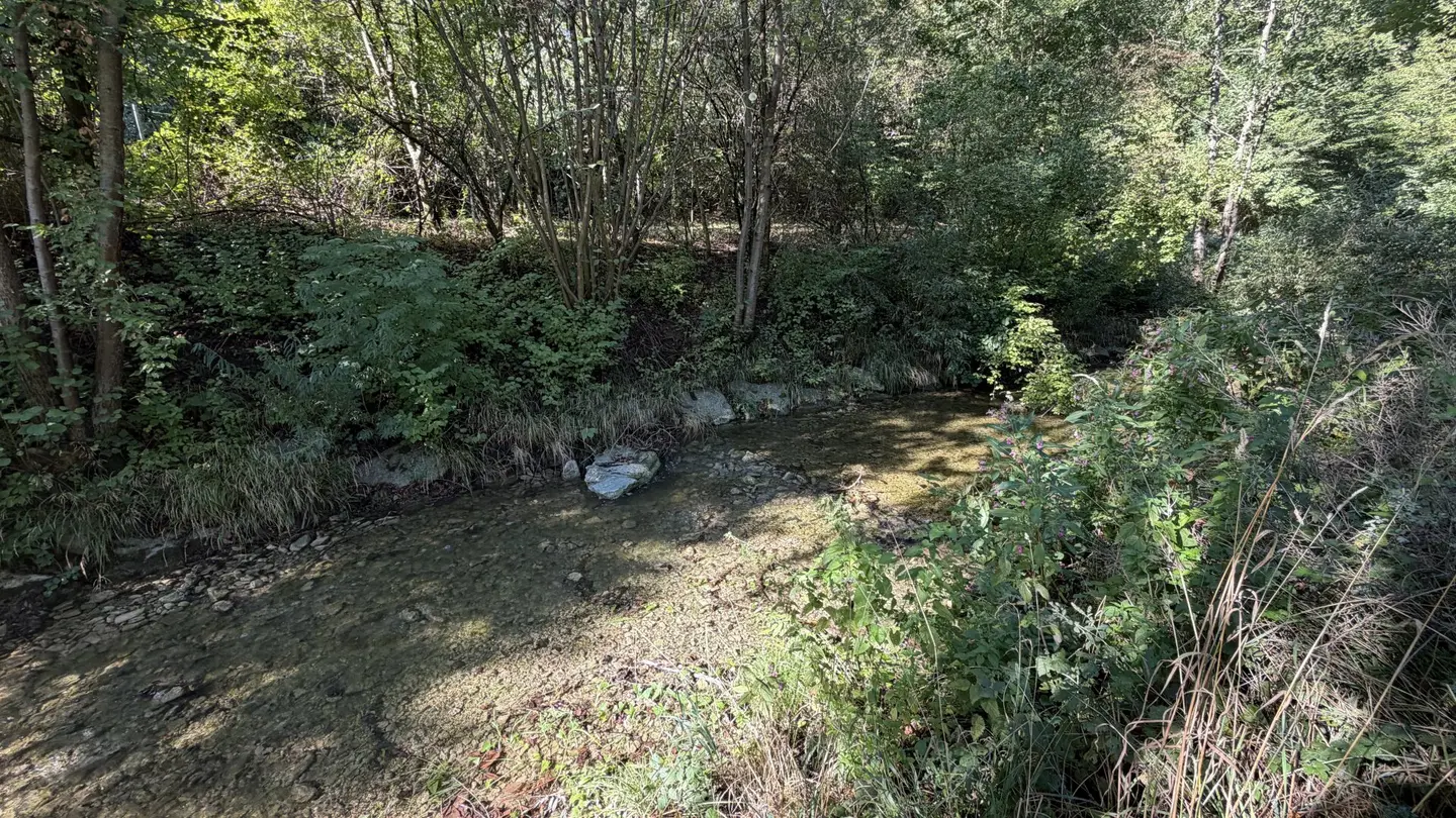 Building plot in Sattelbach for sale!