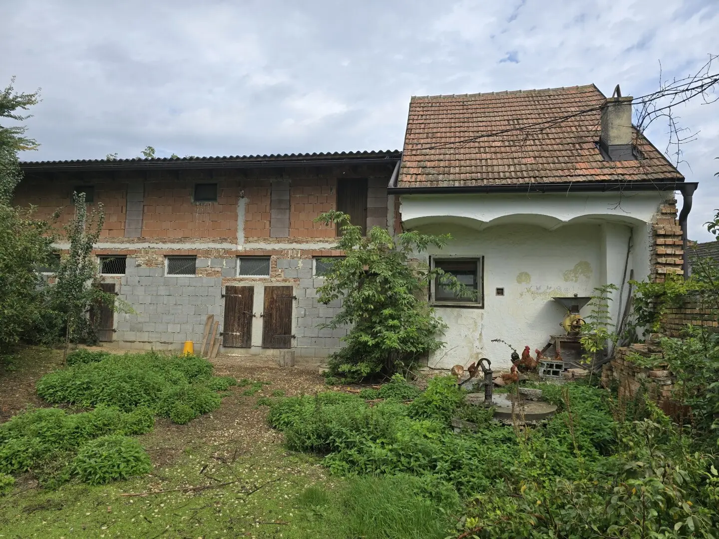 Immobilienbild 3