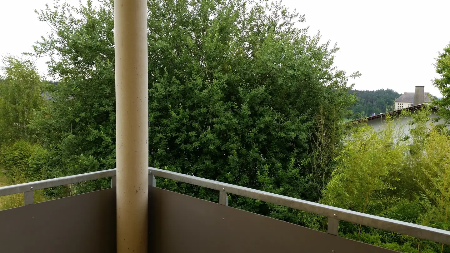 Wohnung mit überdachtem Balkon in ruhiger Grünlage
