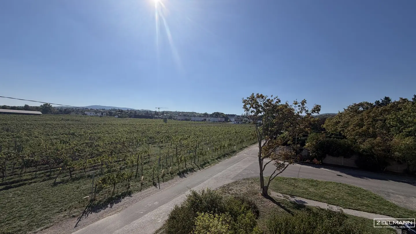 Sonniger Rückzugsort in Perchtoldsdorf mit Grünblick | ZELLMANN IMMOBILIEN