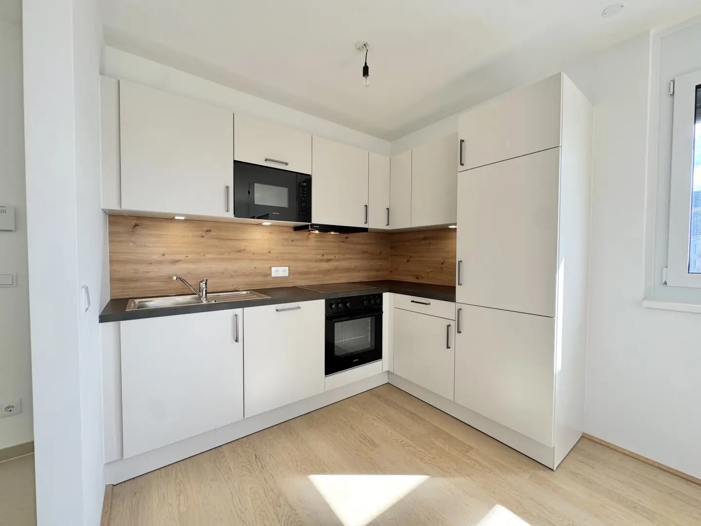 Living with view of the Danube and Vienna skyline