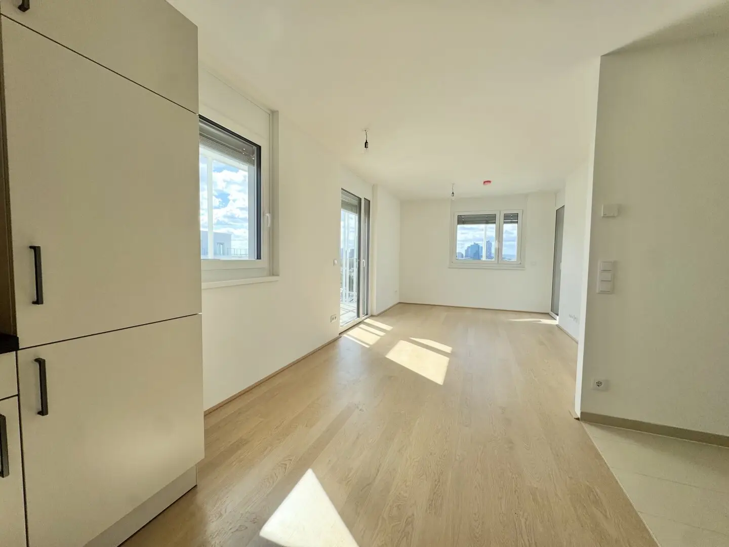 Living with view of the Danube and Vienna skyline