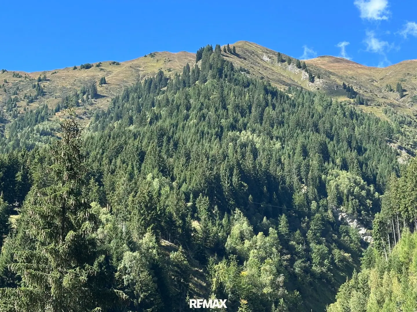 Waldgrundstück in Hüttschlag – ca. 40.000 m² Natur &amp; Wert