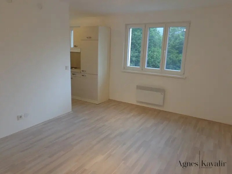 Garconniere im Grünen