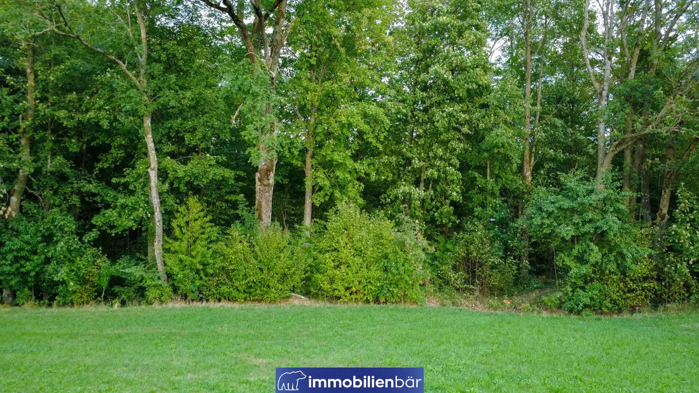 Freizeitgrundstück Pramerdorf mit Wald und Bach - Nähe Geiersberg - Bezirk Ried/Innkr.