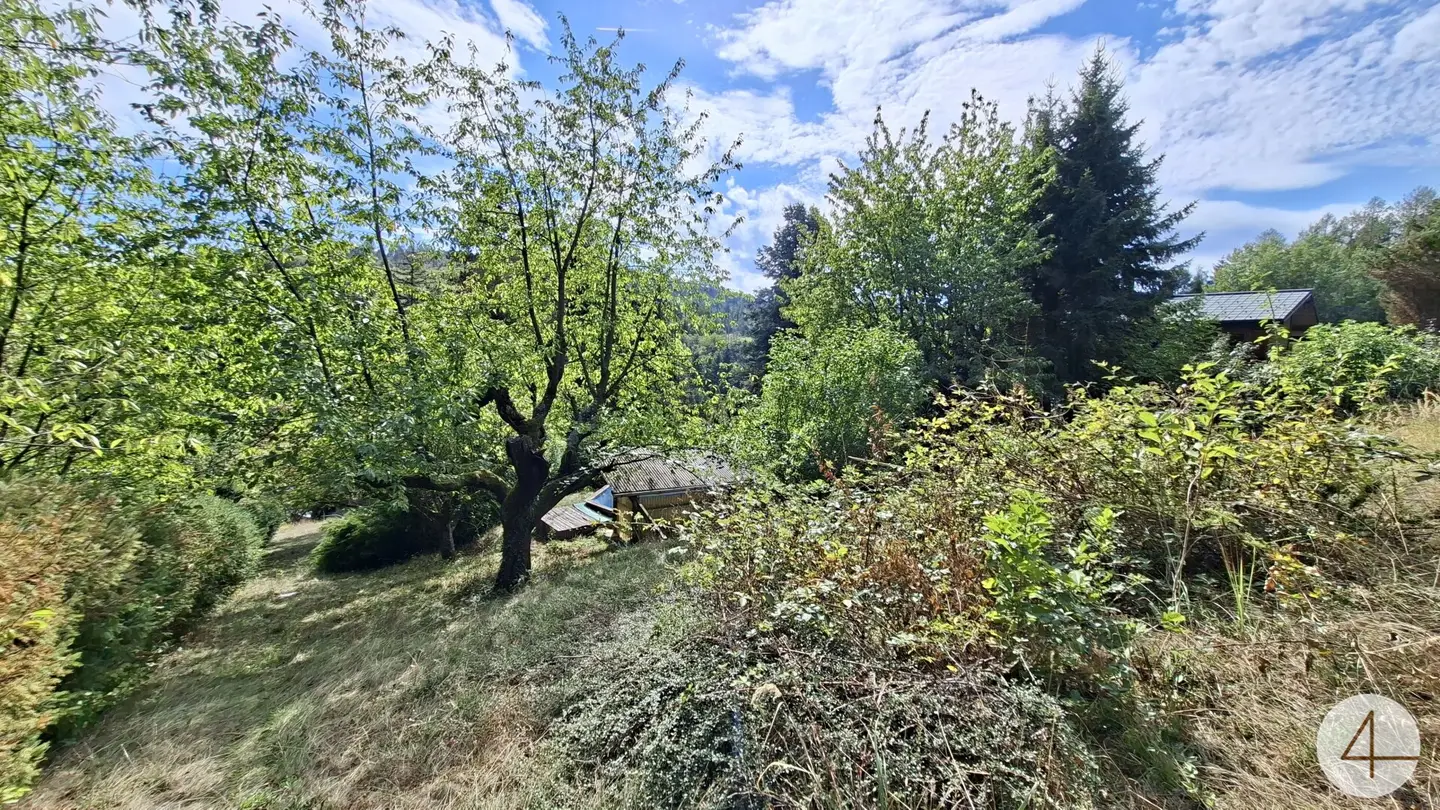 Wohnen im Grünen vor den Toren Wiens – 2.296 m² Bauland mit Altbestand