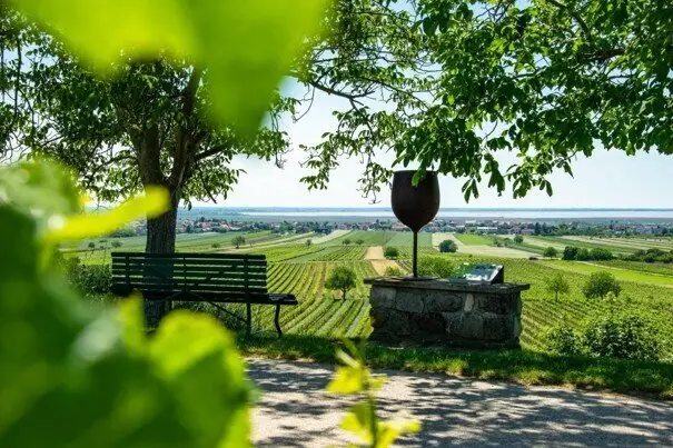 Landwirtschaftliche Fläche mit ertragreichem Weingarten in der Ried „Oberer Satz“ – Gemeinde Jois
