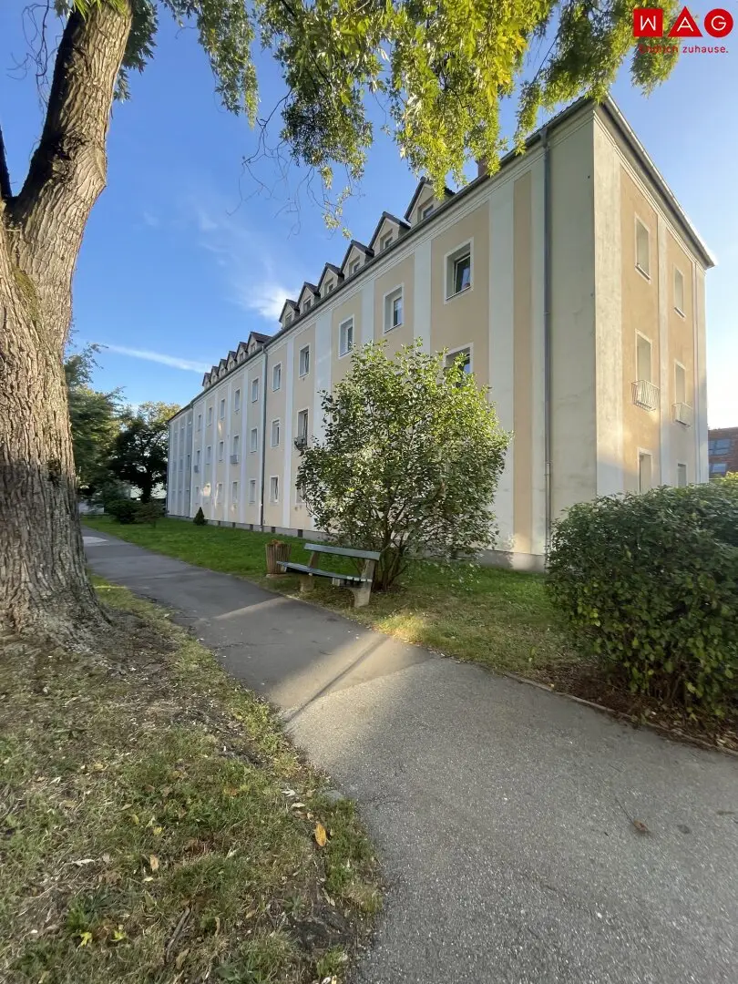 Zentral gelegene und 1-Raum Wohnung im beliebten Stadtteil Bindermichl! Von Grünflächen und bester Infrastruktur umgeben!