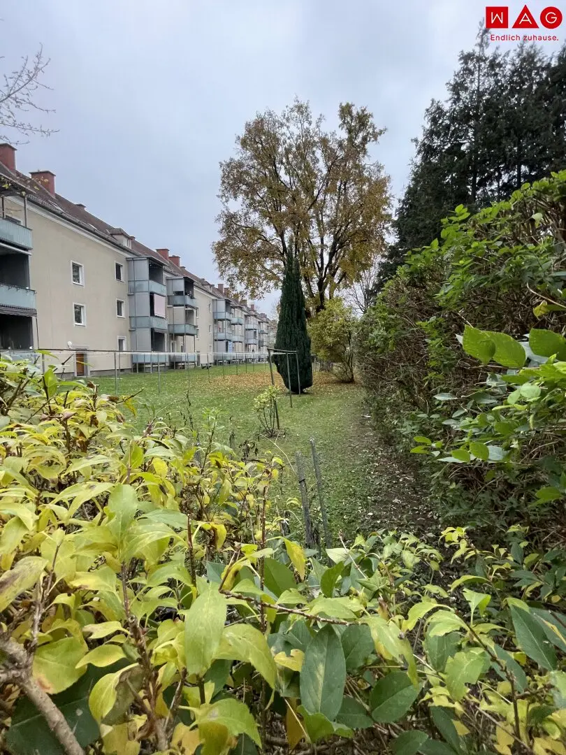 Zentral gelegene und 1-Raum Wohnung im beliebten Stadtteil Bindermichl! Von Grünflächen und bester Infrastruktur umgeben!
