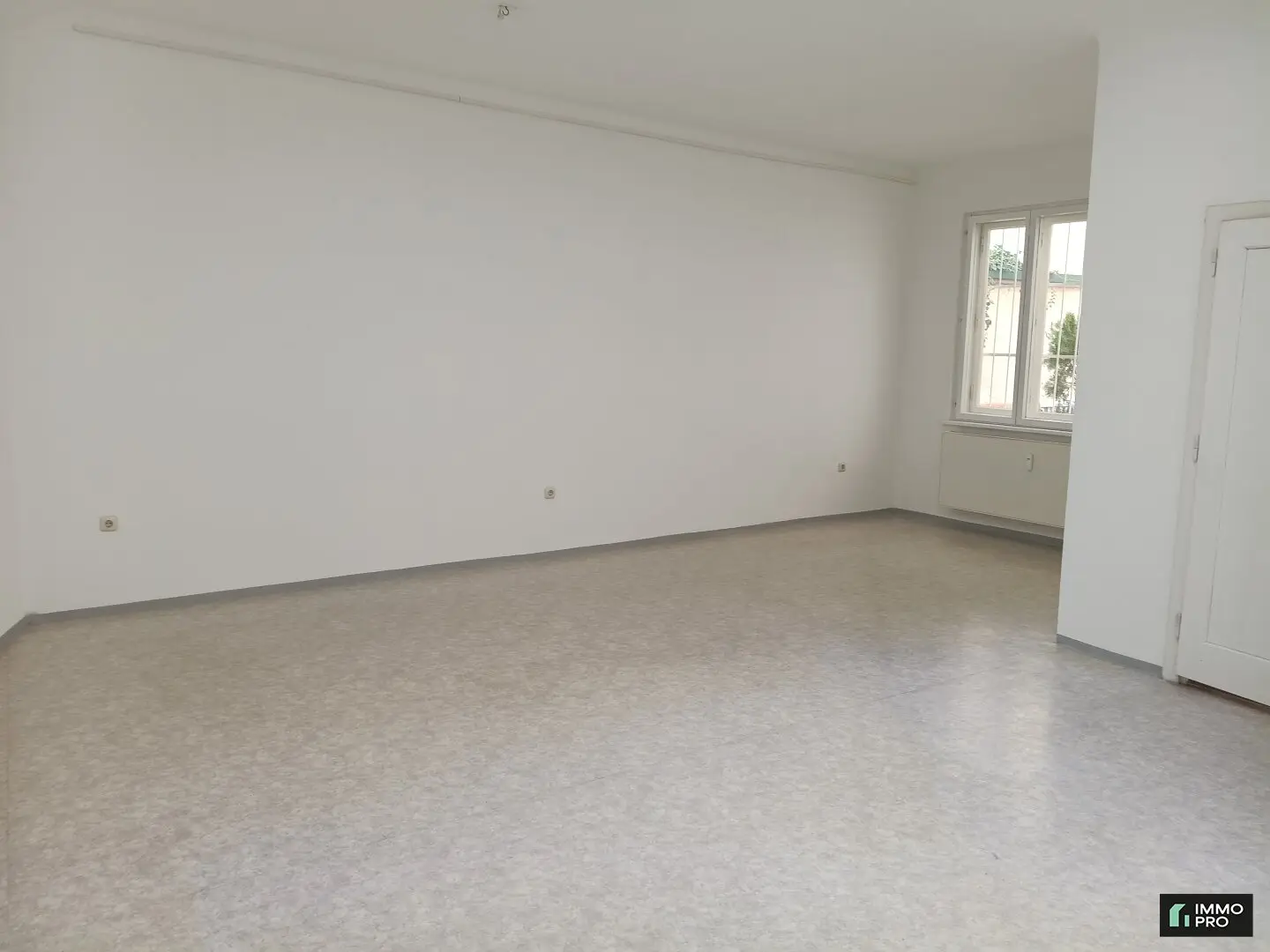 Studio in the rear building