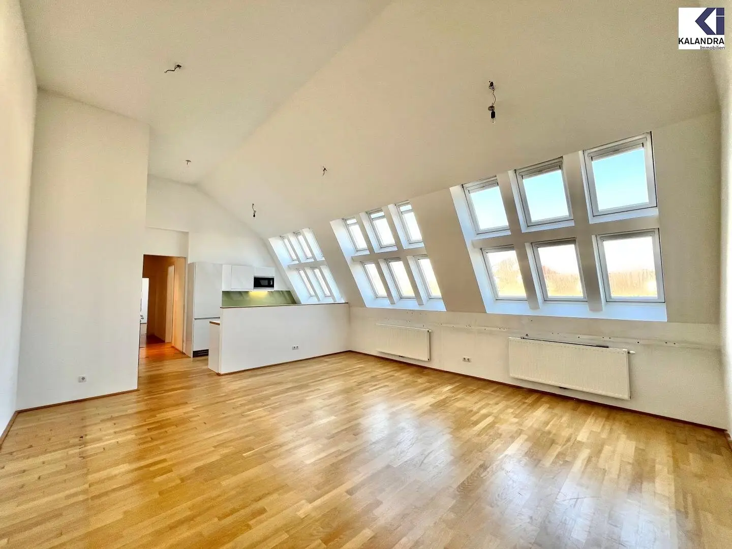 DACHGESCHOß - ATELIERWOHNUNG PALAIS LIECHTENSTEIN