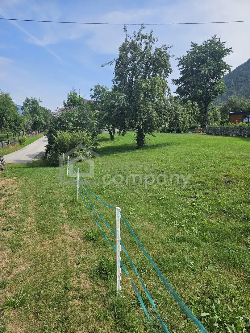Ein Logenplatz mit Grimmingblick – 1.123 m² Grundstück in Aigen im Ennstal
